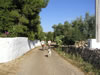 in Masseria: in bici vicino alla Masseria